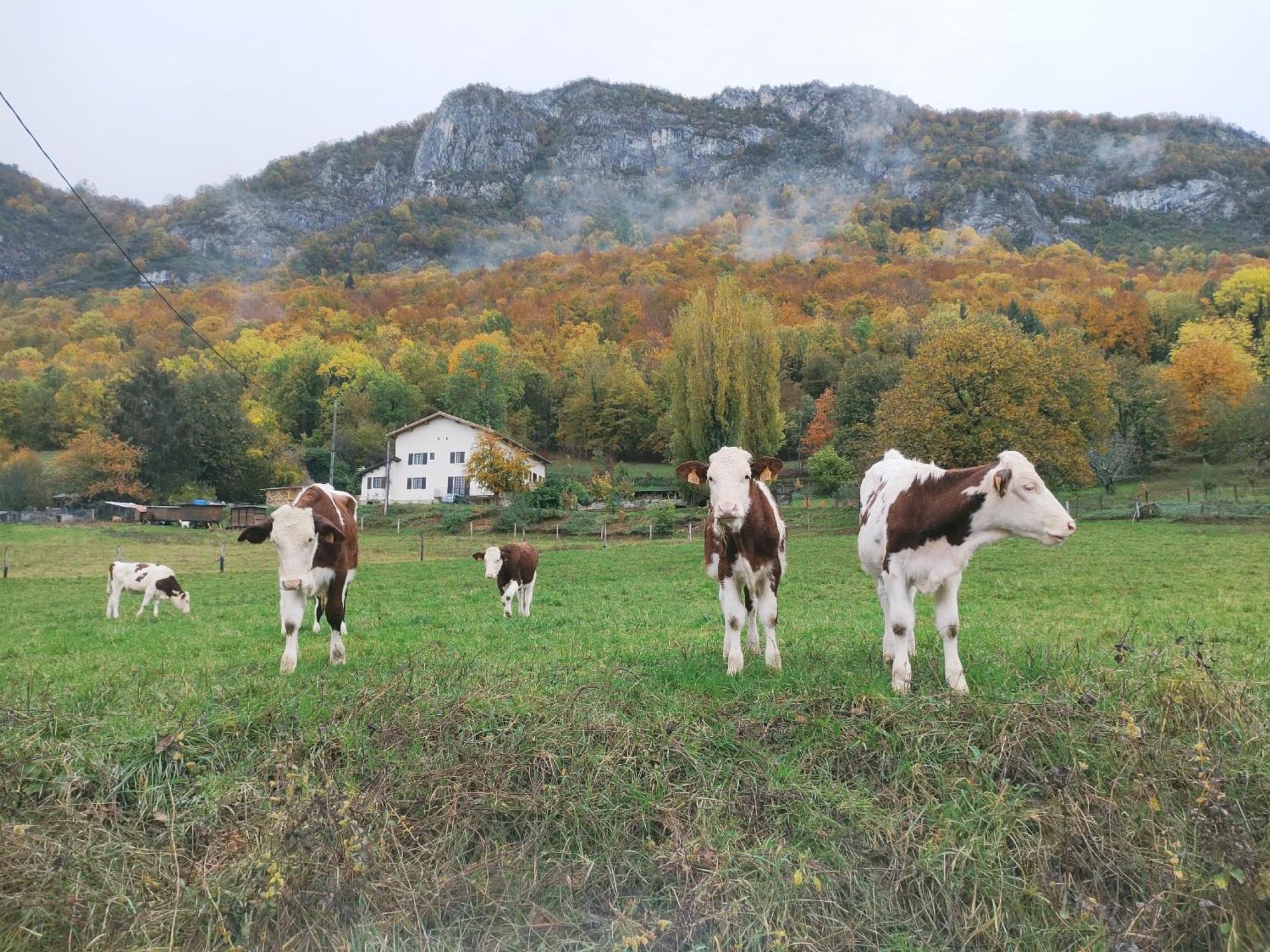 Les Deux Sources Saint-Laurent-en-Royans Exterior foto